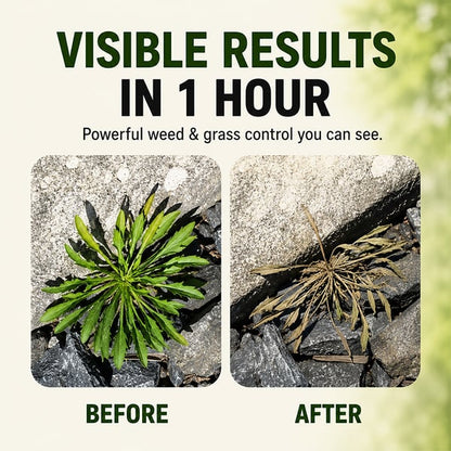 🔥2026 SALE - Fast-Acting Natural Weed & Grass Killer Spray